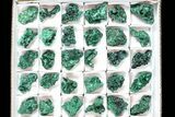 Lot: Gorgeous Fibrous Malachite From Congo - Pieces #77802-1